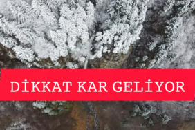 InShot_20251224_230833728