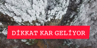 InShot_20251224_230833728