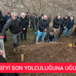 InShot_20251231_134700851