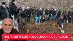 InShot_20251231_134700851