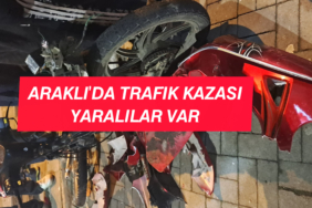 InShot_20251231_194730441