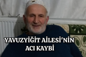 InShot_20260206_123350551